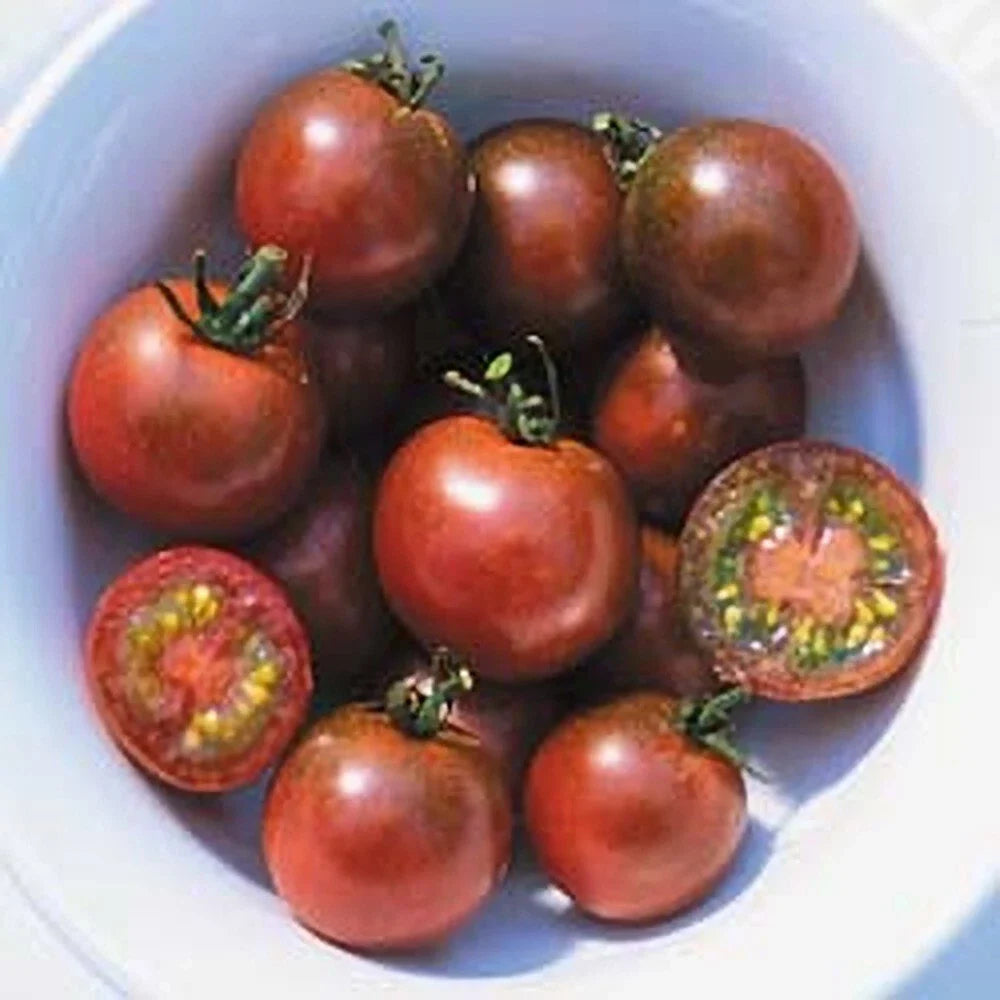 Brown Berry Tomato Seeds - 120+ Heirloom Organic NON-GMO - Rare Variety - Solanum lycopersicum
