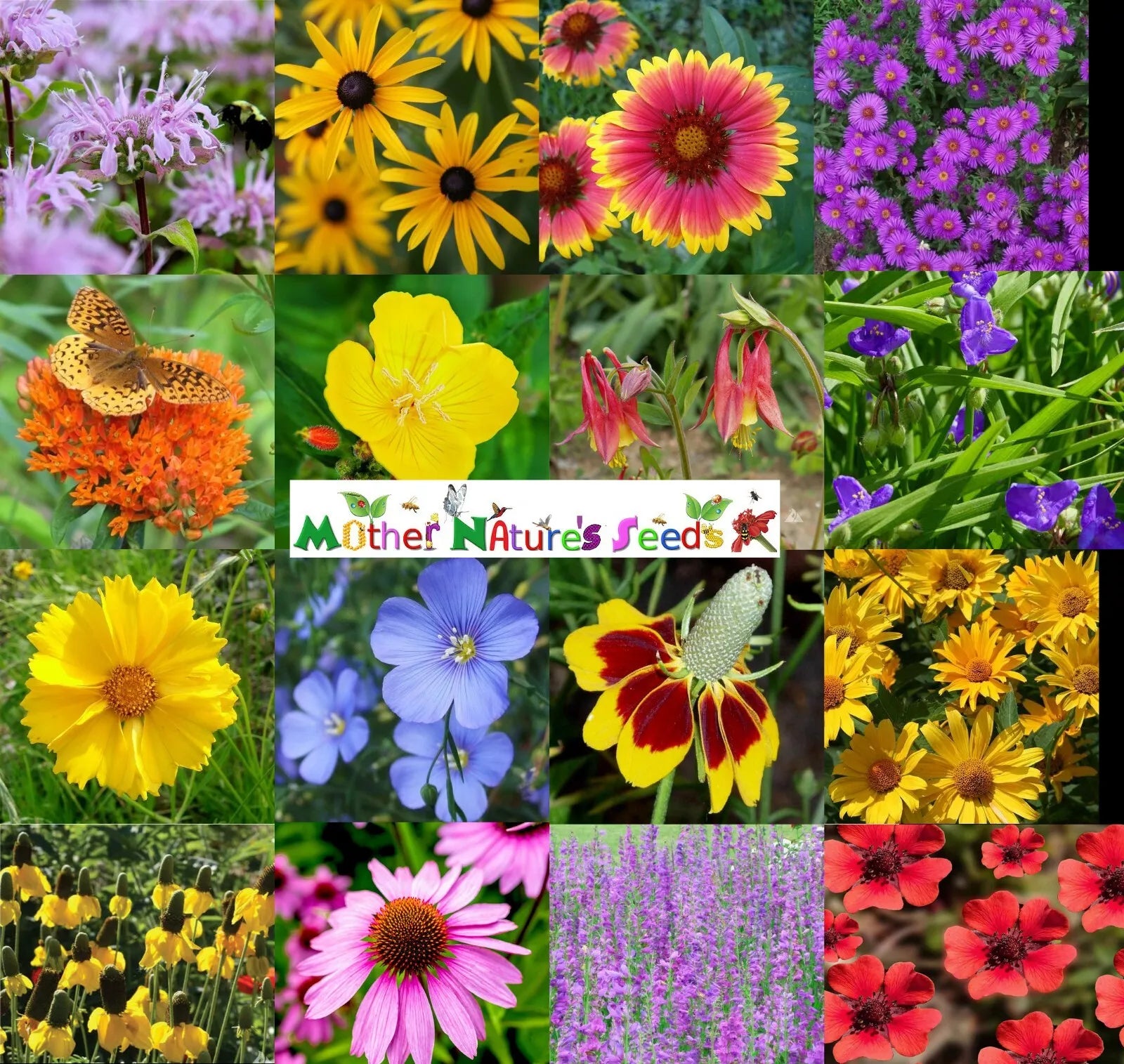 Wildflower Seed Mix - 1000 Heirloom Non-GMO Perennial Mix for Butterflies & Bees - Native Varieties