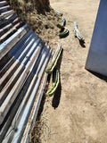 Giant Cactus Cuttings - Healthy Cactus Plants - Perfect for Gardens - Ideal for Indoor/Outdoor - Varieties Available