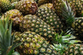 Montufar Pineapple Seeds - 15+ Seeds for Garden Planting - Ananas comosus - USA