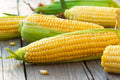 Yellow Sweet Corn Seeds 100 Count Hybrid "Incredible Corn" Zea mays for Planting