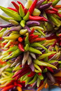 Cayenne Pepper Seeds - 100+ Count - Fiesta Blend - Hot - Heirloom - Organic - Non-GMO - Capsicum annuum
