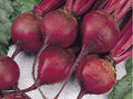Ruby Queen Beet Seeds - 1 LB Bulk, Buttery Tender Variety, Exceptional Color, Beta vulgaris