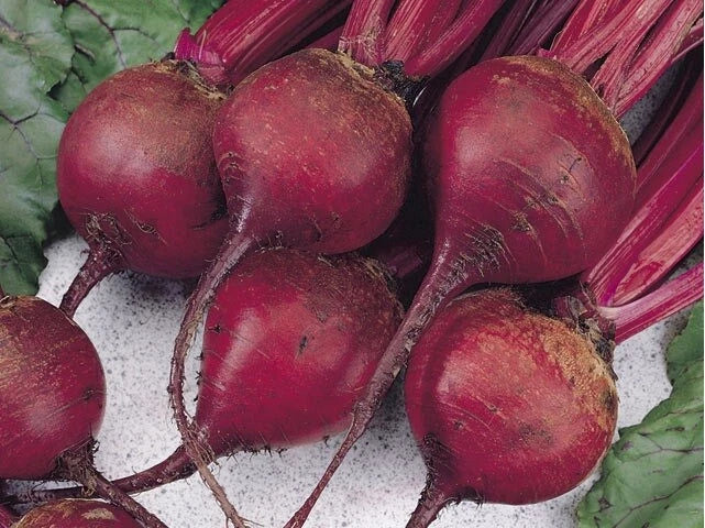 Ruby Queen Beet Seeds - 1 LB Bulk, Buttery Tender Variety, Exceptional Color, Beta vulgaris