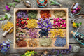 Essential Oils Garden Seed Kit - Herb Seeds for Peppermint, Tea Tree, Lavender, Eucalyptus - Aromatic Plants, DIY Gardening