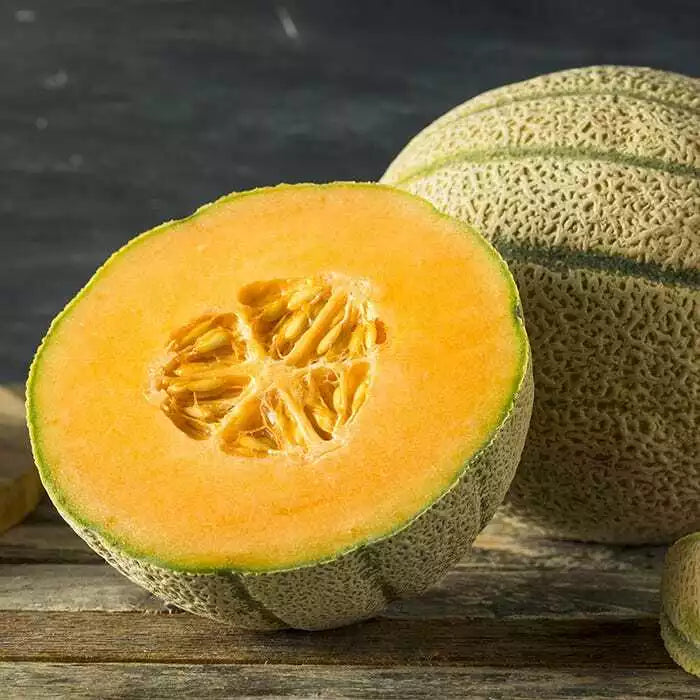 Honey Rock Melon Seeds, NON-GMO Cantaloupe, Sugar Rock Variety, Cucumis melo