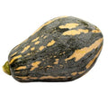 Taro Flavor Pumpkin Seeds - 10+ XiangYu Nangua Chinese Winter Squash Hybrid F1 - USA Grown