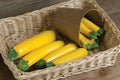 Goldy Squash Seeds - 10 Pack - Golden Zucchini - Cucurbita pepo