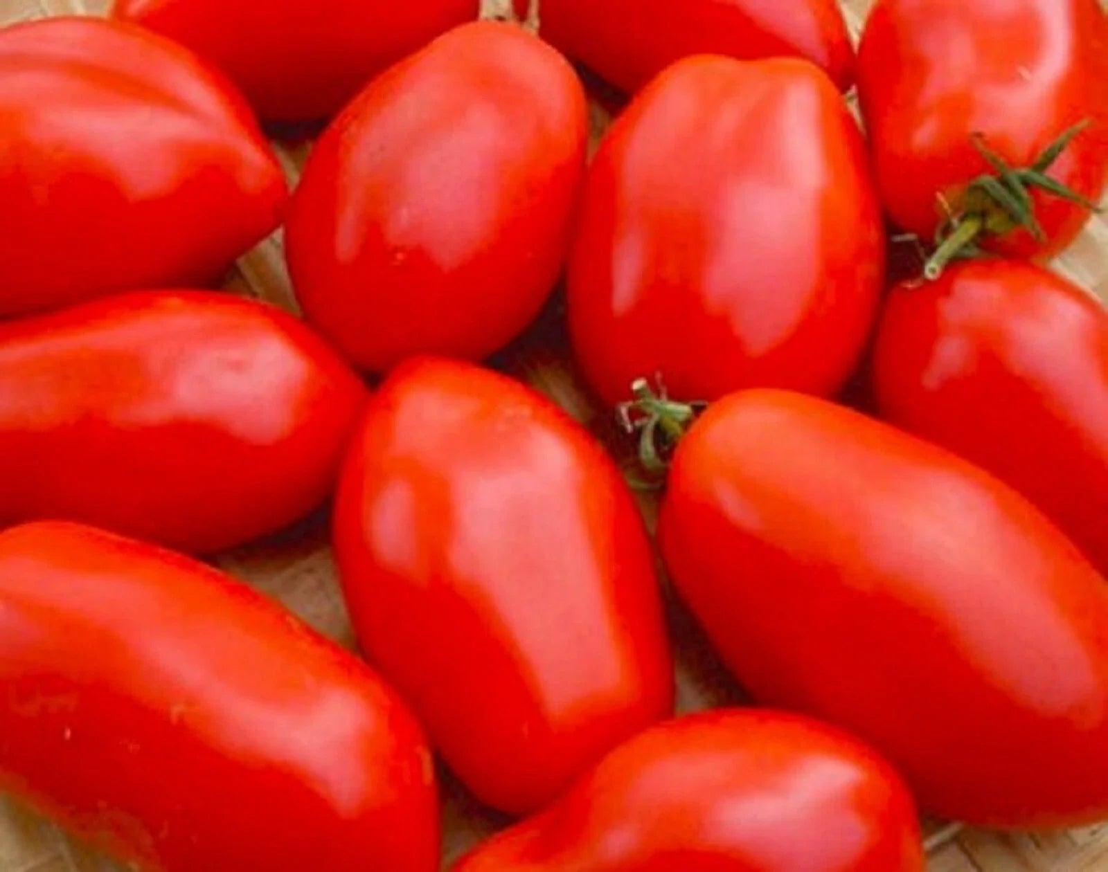 Napoli Tomato Seeds - 50+ Non-GMO Seeds for Home Garden - Solanum lycopersicum