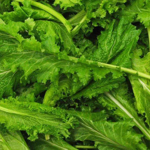 Spicy Brown Mustard Green Seeds - 1000+ Count - Mustard Greens for 2025 Planting - Brassica juncea