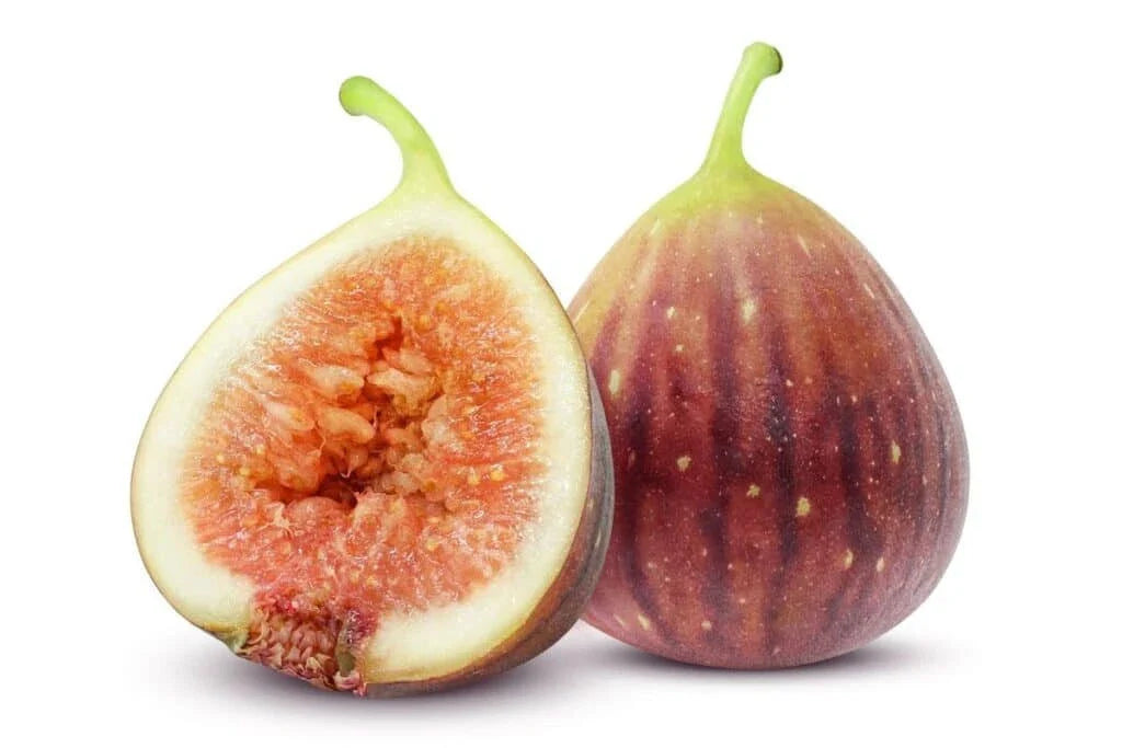Smyrna Fig Seeds - 100+ Pack for Garden Planting - Ficus carica - USA Grown
