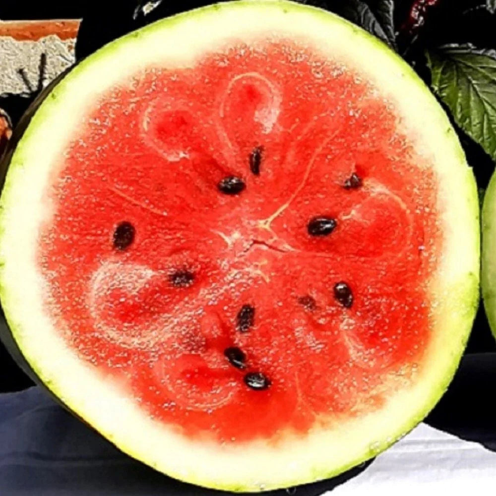Moon and Star Watermelon Seeds | Heirloom NON-GMO Seeds | Citrullus lanatus | Unique Colorful Fruit