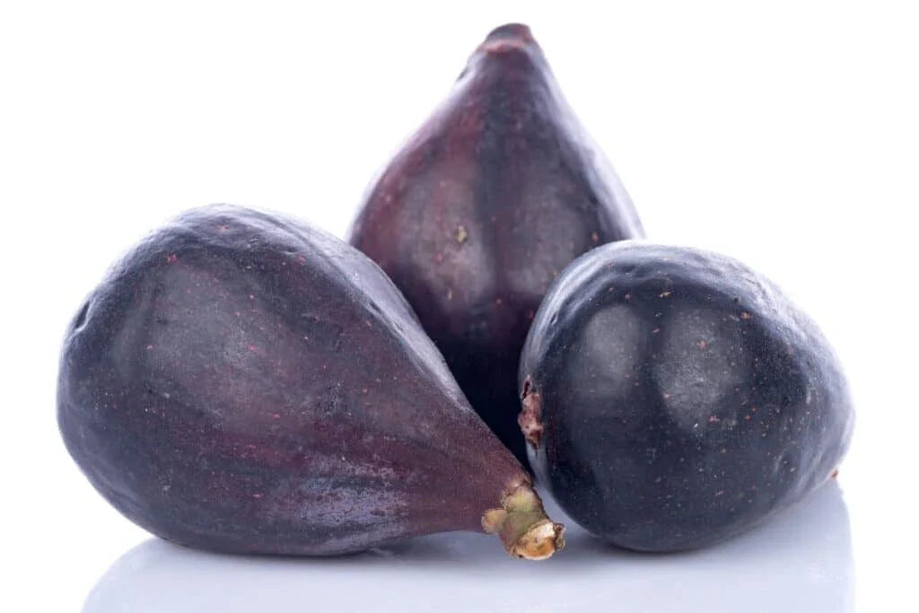 LSU Gold Fig 100 Seeds - Perfect for Garden Planting - Ficus carica
