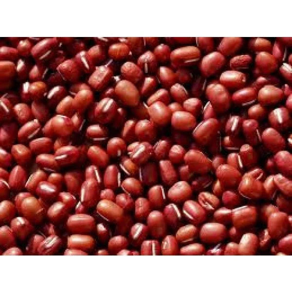 Small Red Soup Beans - Fresh Seeds for Planting - High-Quality Legumes - Ideal for Home Gardens and Cooking