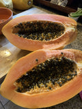 Maradol Papaya Seeds - 25 Sweet Edible Tropical Fruit Seeds (Carica papaya) - Easy Fast Grow Gardening Supplies