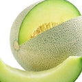 Honeydew Green Melon Seeds | Heirloom NON-GMO | Fresh Garden Seeds | Cucumis melo