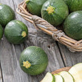 20 Fresh Round Zucchini Seeds - Premium Summer Squash - Cucurbita pepo