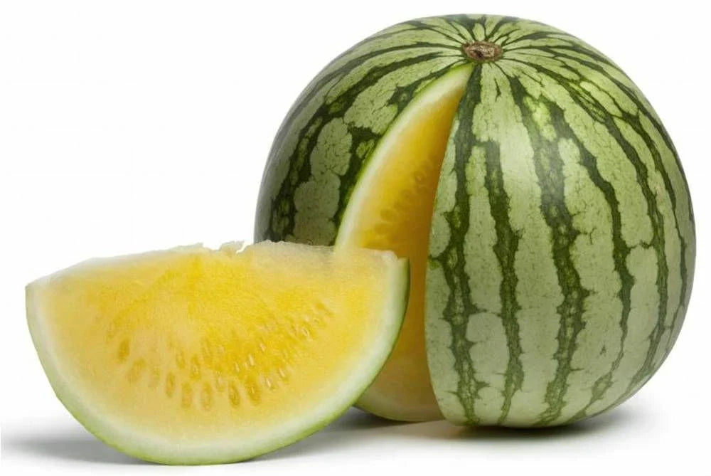 Yellow Doll Watermelon Seeds - Fresh Watermelon Seed Variety - Citrullus lanatus