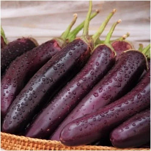 Long Purple Eggplant Seeds - 30 Authentic Premium Seeds - Japanese Variety (Solanum melongena)