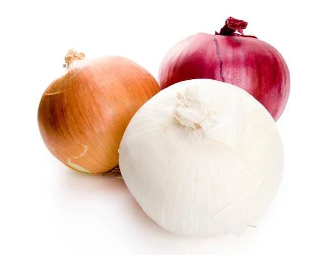 Onion Seeds Assortment - 300 Seeds - Sweet & Healthful Varieties - Allium cepa