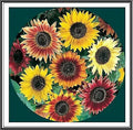 Sunflower Seeds Mix - 50+ Seeds - Crazy Mix, 15+ Varieties, Easy to Grow, Helianthus annuus