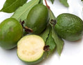Pineapple Guava Seeds - 30 Count - Tropical Fruit - Acca sellowiana for Planting