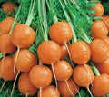 Parisian Carrot Seeds 500+ Non-GMO Vegetable Garden Culinary Soups Daucus carota