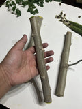 Organic Moringa Oleifera Cuttings - 6 Pack, 8-10 Inches, Nutrient-Rich Superfood Plant for Home Gardening