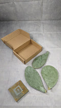 Spineless Prickly Pear Cactus Pads - 3 Pack, 5+ Inches Each, Opuntia, Arizona Grown
