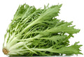 Green Curled Endive Seeds | Non-GMO Fresh Garden Seeds | Cichorium endivia