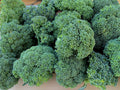 Calabrese Broccoli Seeds, 250+ Heirloom Non-GMO Organic, Brassica oleracea, Green Sprouting Variety, USA Grown