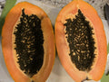 Red Heart Creamy Papaya Seeds - 50 Fresh Seeds for Home Garden, Carica papaya