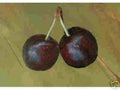 Hansen's Bush Cherry Seedling Live Plant – Hardy Fruiting Shrub – Prunus japonica – No Shipments to CA, HI, OR, WA