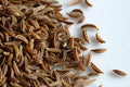 Caraway Seeds 1,000 Count for Growing Meridian Fennel, Persian Cumin Non-GMO, Carum carvi