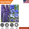 Mixed Wildflower Seeds - 30,000+ Seeds - Attract Butterflies & Bees - Native Wildflower Blend