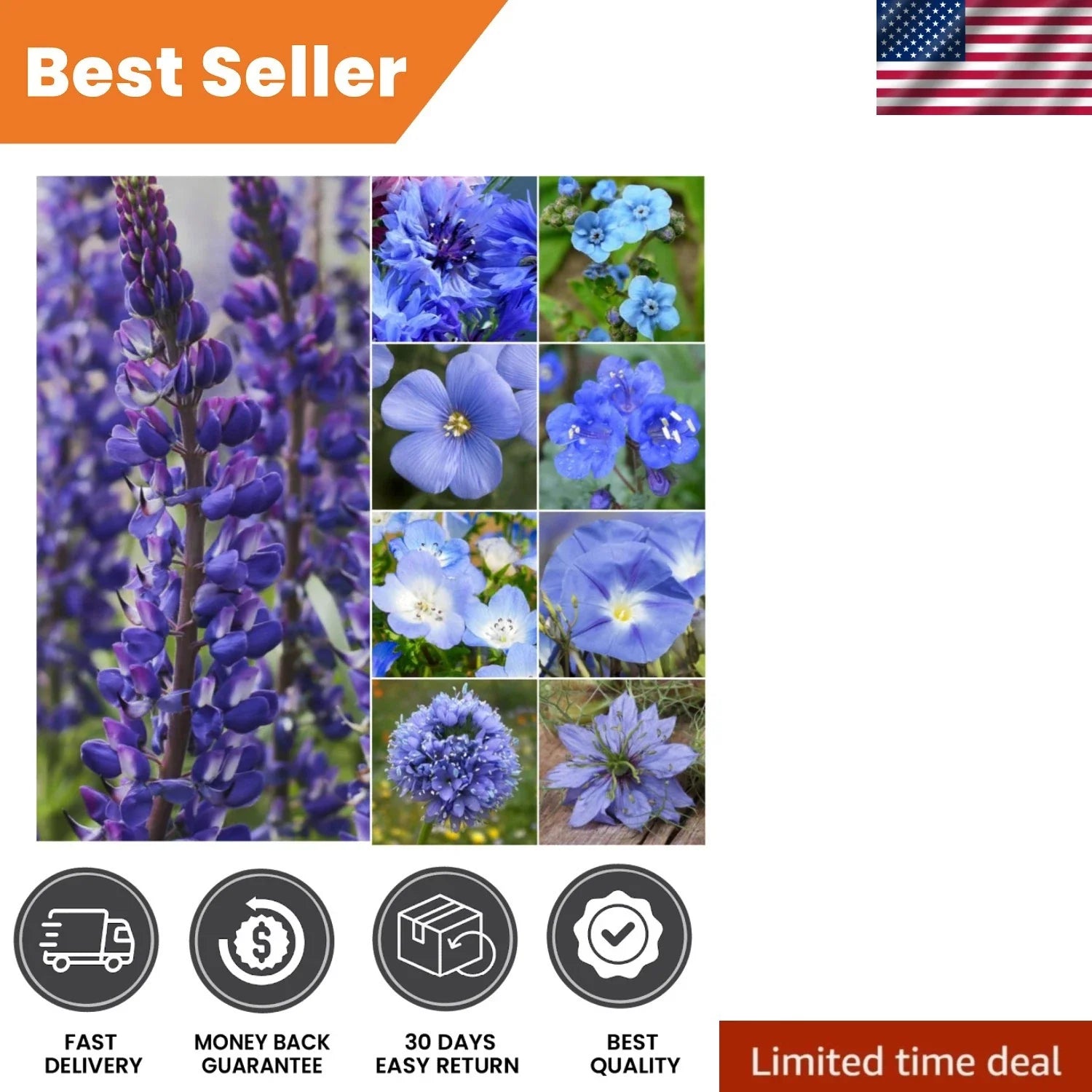 Mixed Wildflower Seeds - 30,000+ Seeds - Attract Butterflies & Bees - Native Wildflower Blend