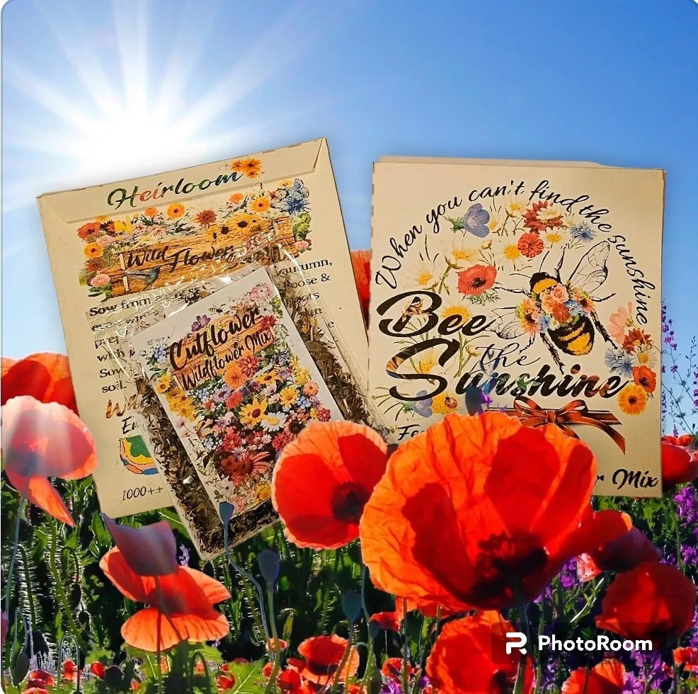 Wildflower Seeds - 1000++ Pollinator-Friendly Fragrant Mix - Bee The SUNSHINE - Ideal for Gardens and Pollinator Habitats