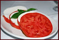Giant Belgium Tomato Seeds - Heirloom, Non-GMO, 500 Seeds - Perfect for Home Gardens - Solanum lycopersicum