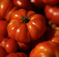 Costoluto Genovese Tomato Seeds, 30 Non-GMO Seeds, Heirloom Variety, Ideal for Home Gardening, Lycopersicon esculentum