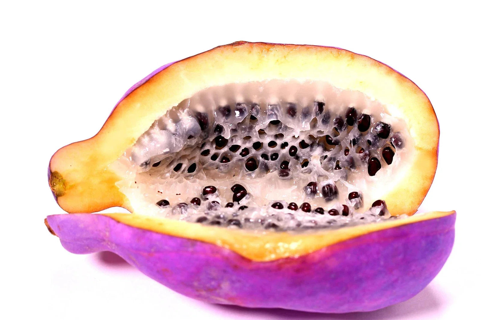 Exotic Chocolate Vine Seeds - 15 Pack - Akebia quinata, Five Leaf Vine for Planting