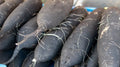 Long Black Spanish Radish Seeds - 500+ Count - Heirloom Vegetable Seeds - Raphanus sativus