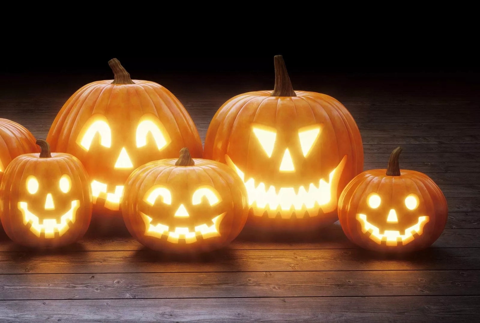 Jack O' Lantern Pumpkin Seeds for Planting - 20 Seeds - Medium Sized, Symmetrical Fruit - Cucurbita pepo