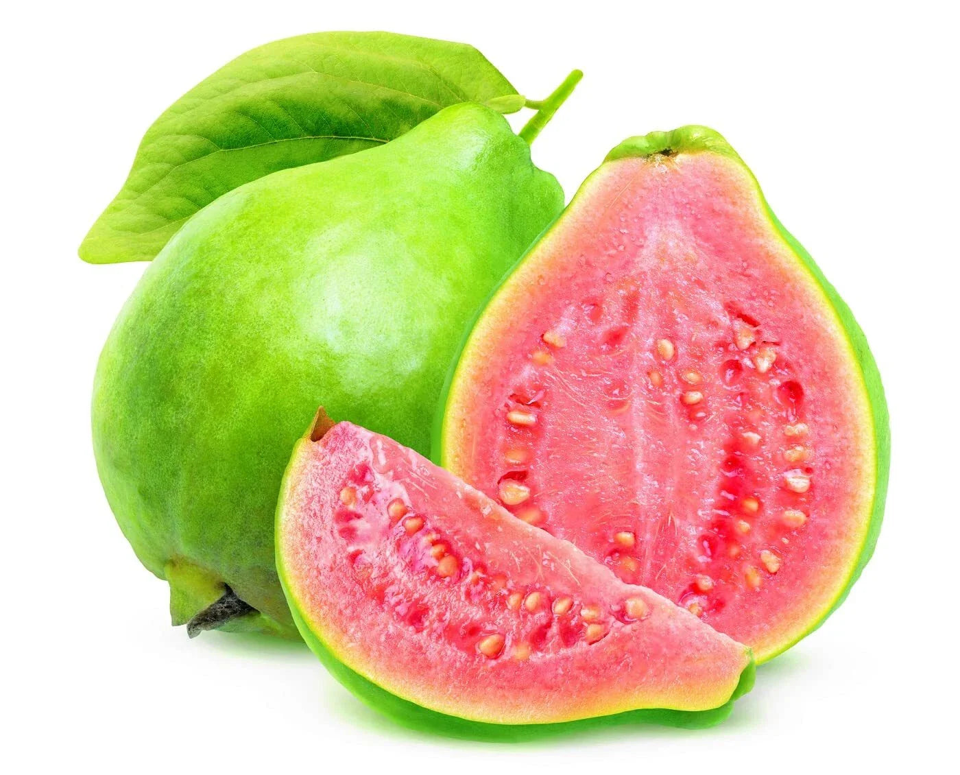 Guava Fruit Tree Seeds - Tropical Exotic Fruit - Psidium guajava - Ideal for Planting and Home Gardens