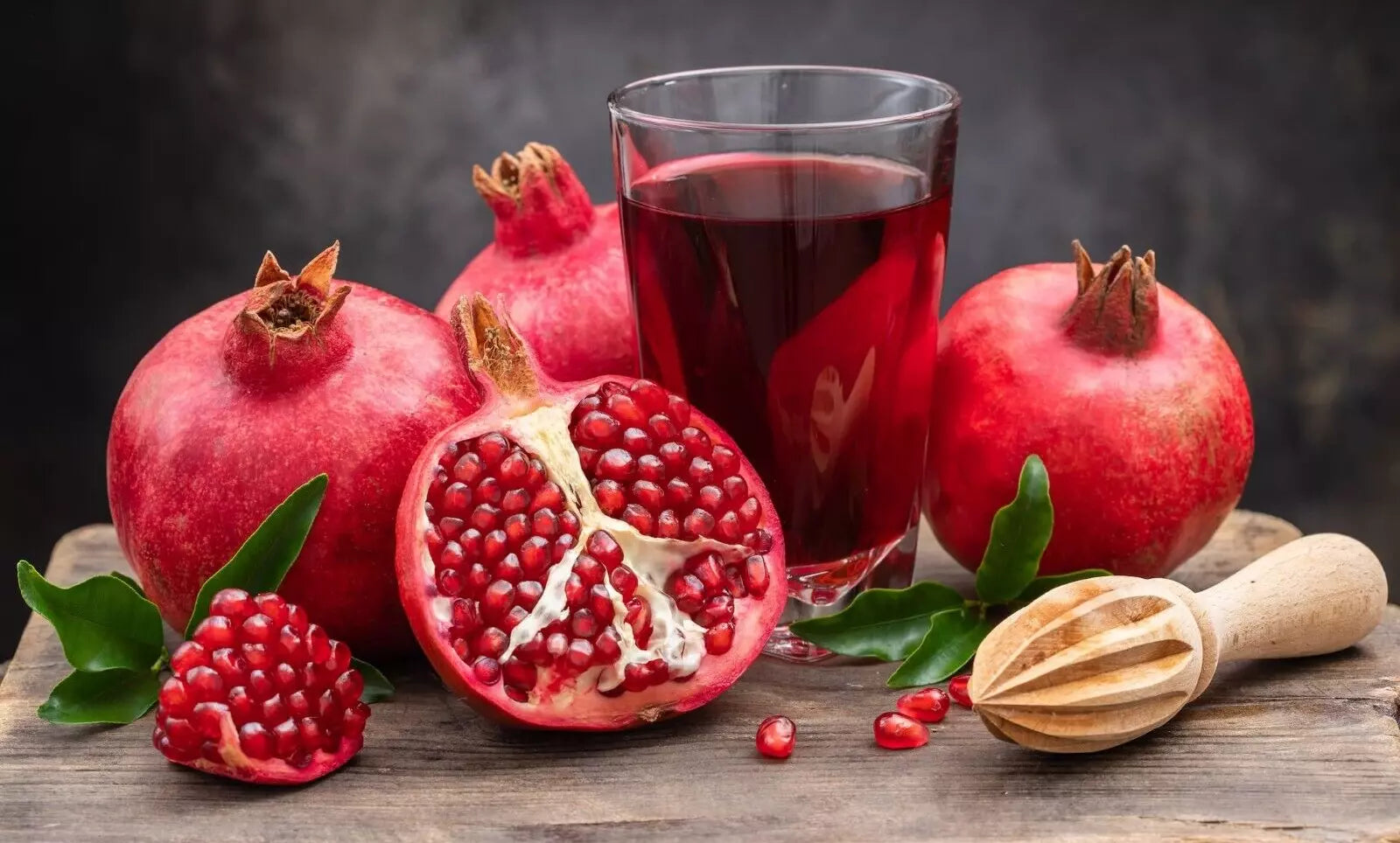 Pomegranate Tree Cuttings 50 Thin Scions Wonderful (Punica granatum) Rooting Grafting