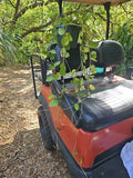 XL Hoya Carnosa Krinkle 8 Chelsea Live Plant in 8" Hanging Pot, Rare Indoor Plant, 43" Long Vines