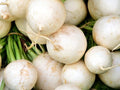 White Beauty Radish Seeds - Heirloom Variety - Choose Packet Size - Raphanus sativus