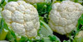Snowball Y Improved Cauliflower Seeds - 200+ Non-GMO Seeds for Home Garden (Brassica oleracea)