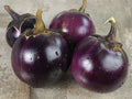 Thai Round Eggplant Seeds - 50+ Heirloom NON-GMO Asian Vegetable - Solanum melongena - Free Shipping USA