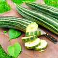 Striped Armenian Cucumber Seeds | Painted Serpent Yard Persian Snake Seed | Cucumis melo 2025
