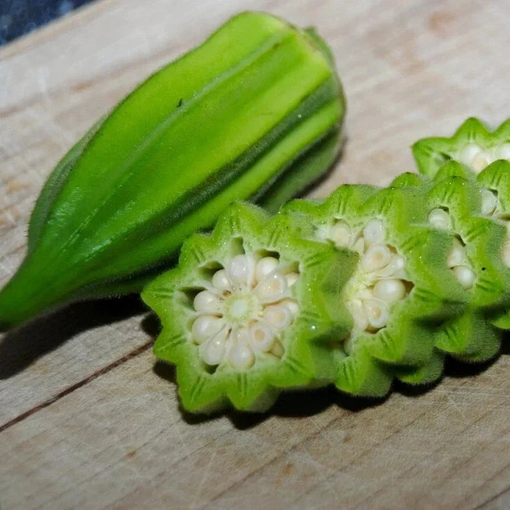 Star of David Okra Seeds - 40 Non-GMO Heirloom Seeds | Abelmoschus esculentus | USA Seller, Free Shipping